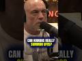 UFOs on Demand? Joe Rogan Talks Sky Watcher Program  #jre #joerogan