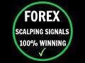 FOREX: 1 HOUR SCALP SYSTEM