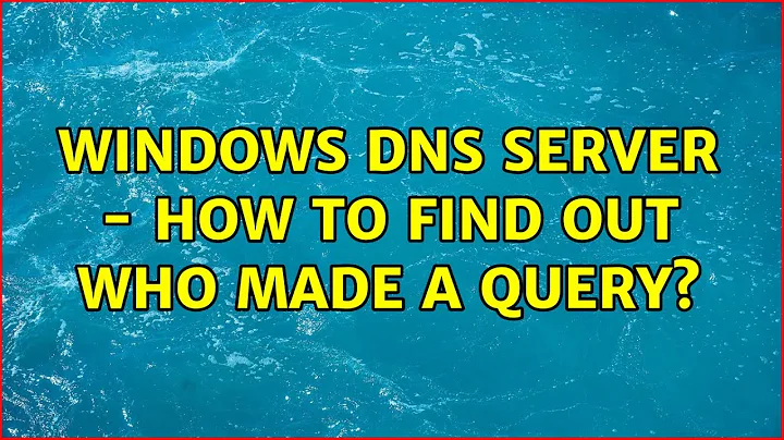 Windows DNS Server - how to find out who made a query?