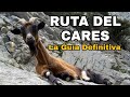 👉 ANTES DE HACER LA RUTA DEL CARES MIRA ESTE VÍDEO [Guía Definitiva] Viaje por Asturias en FURGONETA