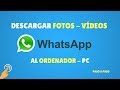 Descargar Fotos del WhatsApp al Ordenador - 2022 - MUY FÁCIL