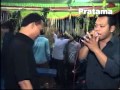 Tak berdaya hots dangdut koplo versi campursari zelinda