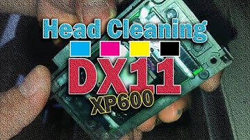 Manual Cleaning Printhead of XP600 Dx5 Dx7 DX11 same procedure Full Video Tutorial
