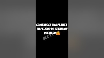 PREGUNTAS QUE NO ME DEJAN DORMIR RECOPILACIÓN VIDEOS