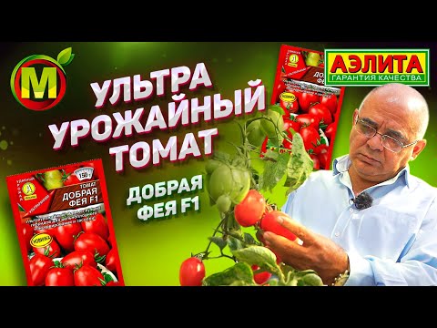 ОДИН ИЗ ЛУЧШИХ