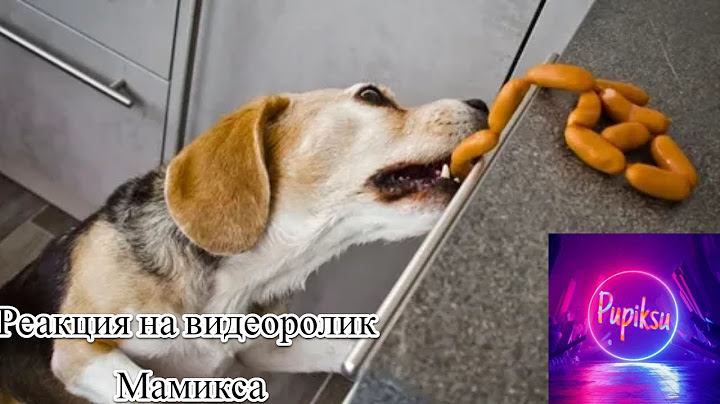 Спрятал 100 Сосисок от Собаки! | Реакция Pupiksu