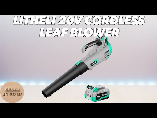 Small & Powerful Cordless Leaf Blower Review 