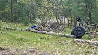 Hillbilly logging 🇺🇸🇺🇸🇺🇸 #wood #hardwood #sawmill #michigan