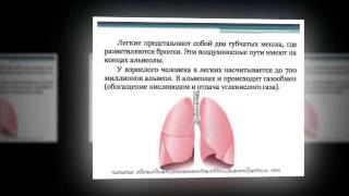 Презентация на тему Презентация на тему