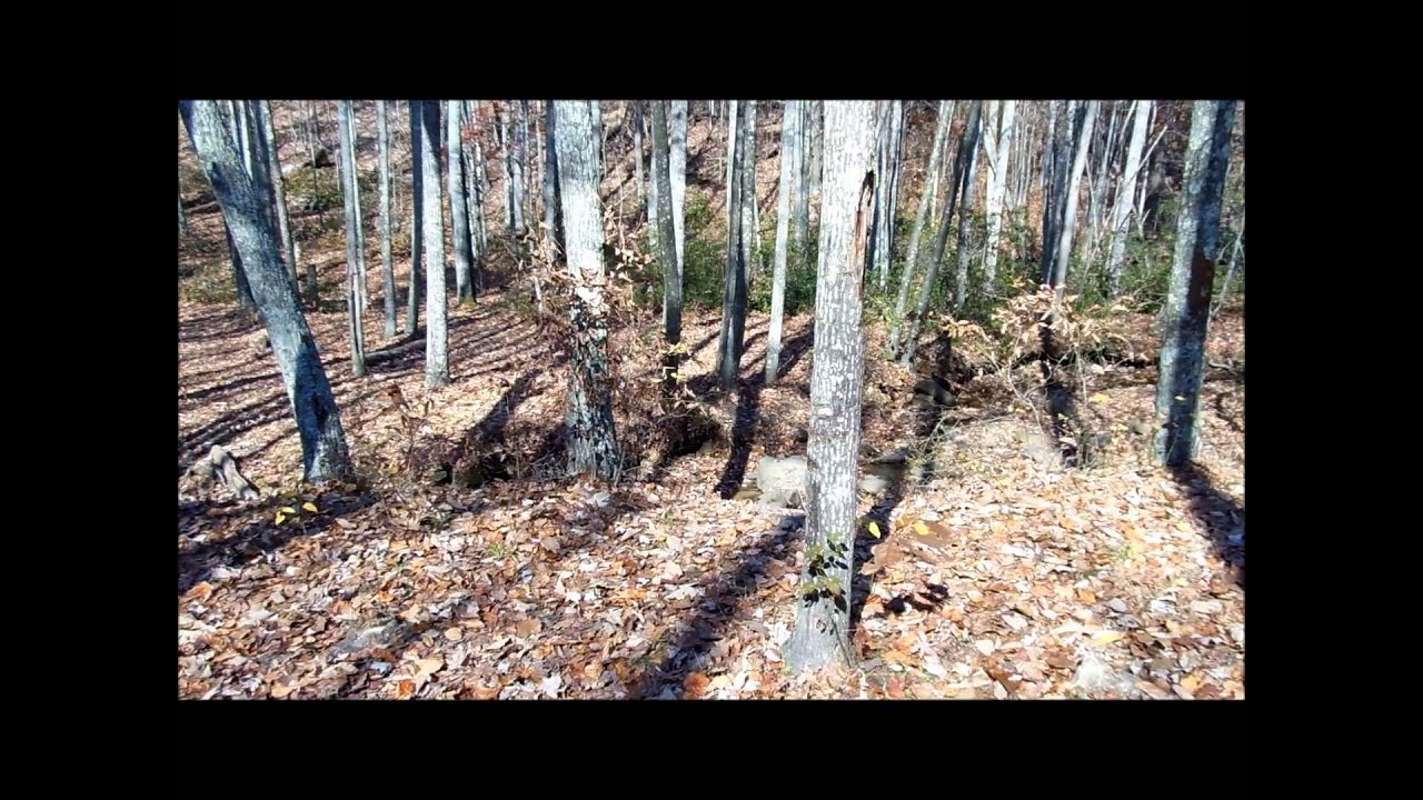 Signal Knob & Strasburg Reservoir