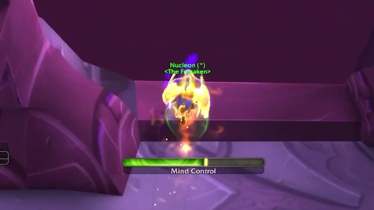 Will This Pally Ever Learn? Shadow Priest PvP Trolling - WoW: Dragonflight