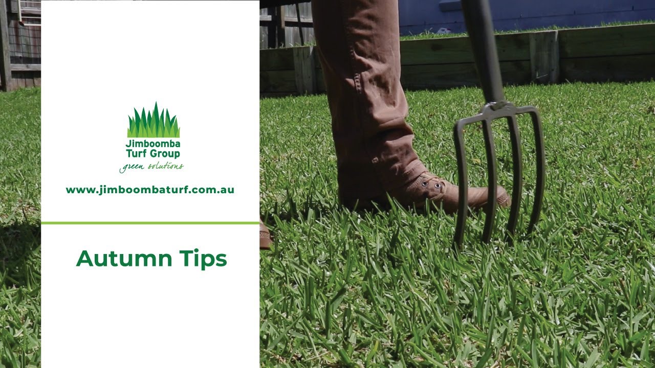 Top 5 Autumn Tips Jimboomba Turf YouTube