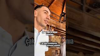 Çakal Ebo’yu Korkutuyor Ama Kaç Kere Yeter Be Adam Sal Ebo’yu Daa