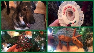 Full Vlogmas 2013 ❄ Day 17 We have 5 million cats up in this joint... Update