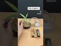 How to Make a Smart Drip Irrigation System 🌱✨ #shorts