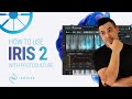 How To Use iZotope Iris 2 with Protoculture