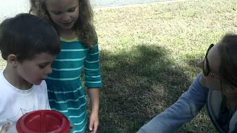 Lemonade Sales - Team Gaydosh