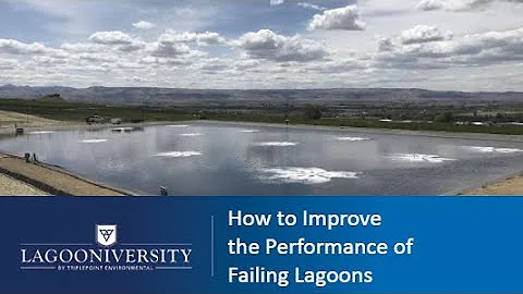 How to Improve the Performance of Failing Lagoons