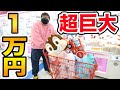 【超巨大!!】クレーンゲームで１万円使って巨大な景品を何個とれるのか挑戦？！