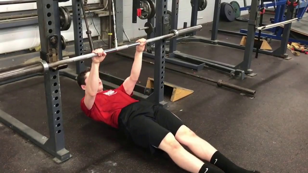 6 Day In season baseball workout for Push Pull Legs