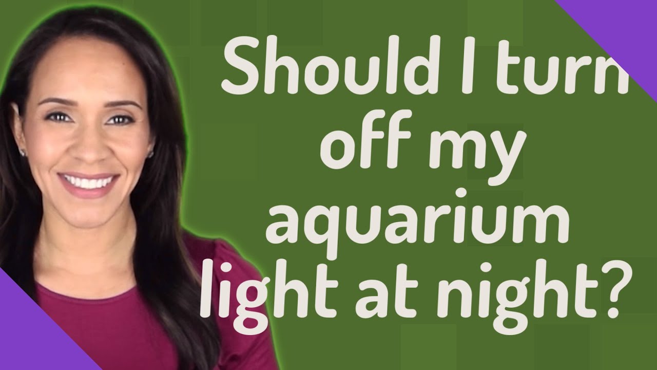 Should I turn off my aquarium light at night? YouTube