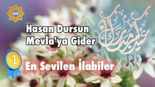 Hasan Dursun - Mevla'ya Gider Resimi