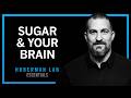 Control Sugar Cravings &amp; Metabolism with Science-Based Tools | Huberman Lab Essentials Mp3 Song