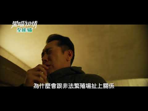 《黑喵知情預告》EP11 雖然有家 但為什麼感覺牠像一隻流浪狗...