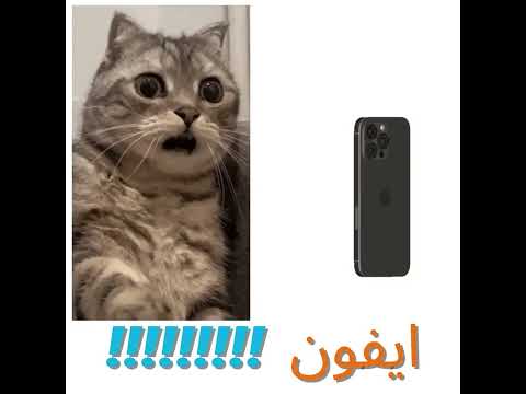 قبل و بعد المقاطعة المقاطعة