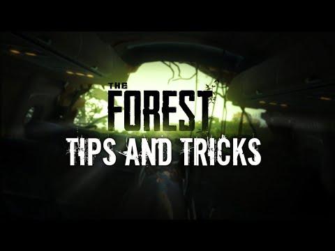free download the forest beginner guide free download the forest beginner guide