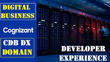 CDB DX (Cognizant Digital Business for Developer Experience Domain) This Domain to choose or not