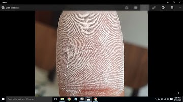 DMIT Lab Report generation Software Online