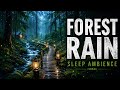 Peaceful Forest Rain ??? ASMR Nature Sounds for Stress Relief