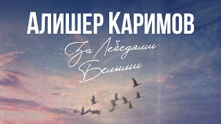 ALISHER KARIMOV - ЗА ЛЕБЕДЯМИ БЕЛЫМИ
