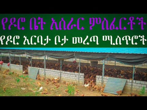 ቪዲዮ: የዶሮ ጫጩቶች ከአናና እና አይብ ጋር