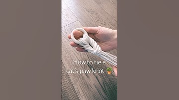 How to tie a Cat’s Paw Knot on a ring - DIY Macrame Tutorial 🐱🐾 #macrameplanthanger #macrameknot