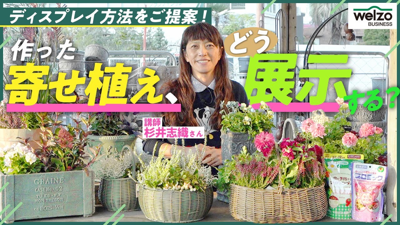 【ディスプレイ方法をご提案！】作った寄せ植え、どう展示する？