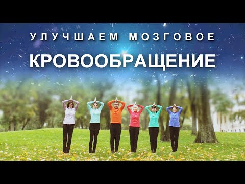 Улучшаем Мозговое Кровообращение