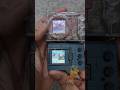 vpet Monster Hunter (Rathalos Greymon, Traited Egg) vs DMC v1 (Shin Monzaemon)