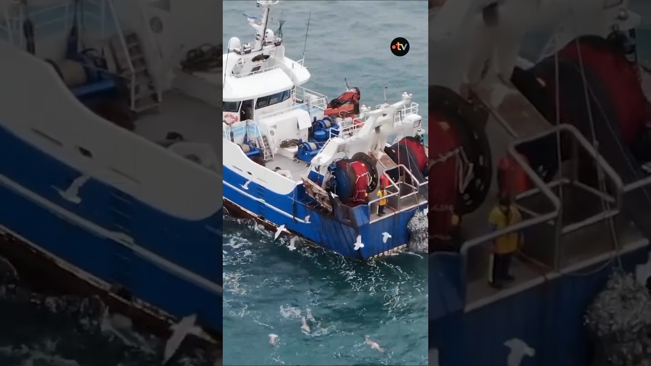 Ce chalutier industriel pille les eaux françaises pour ramener le poisson aux Pays-Bas -Sur le front