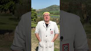 i DRONI per le MULTE in campagna #perte #ridere