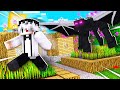 Bat Minecraft Dar Nu Pot Sa Parasesc Overworld-ul...