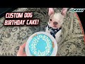 Shop Dog Ruger&#39;s Birthday Cake!