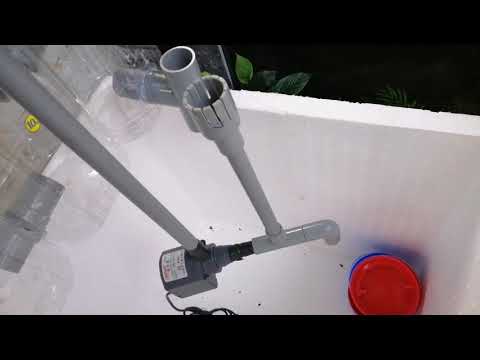 Video MAKE A SMOKING SIDE FOR KOI FISH P3 || LÀM HÚT MẶT,... - youtube