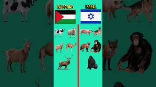 Palestine vs Israel #shorts #viral #like #love #foryou Resimi