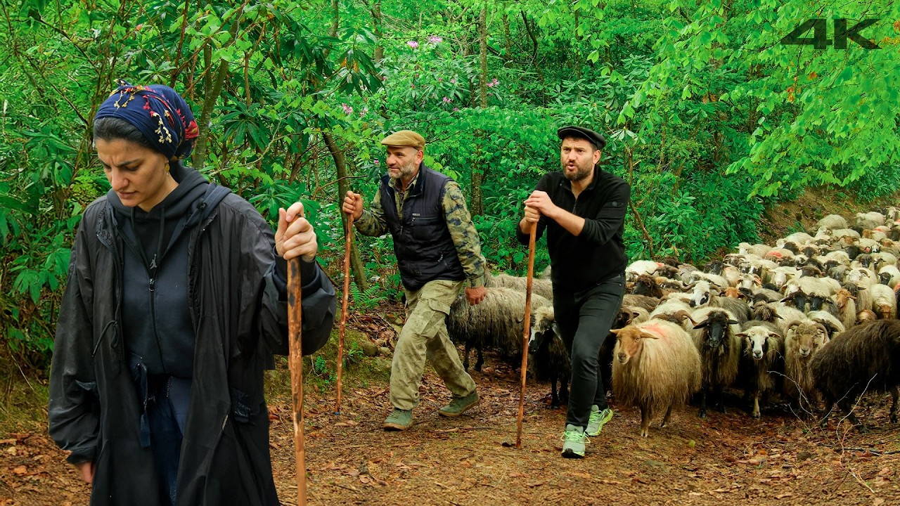 Наследие Тайяра Аги | Документальный фильм