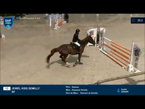 JEWEL KISS SEMILLY 5 ans/yo Saint Lô