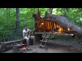 3 Days SOLO SURVIVAL CAMPING In Rain Forest; Catch and Cook, FISHING. BUSHCRAFT Shelter UNDER a TREE