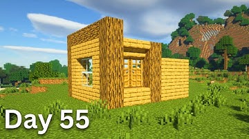 Building A House But Only Adding One Block A Day (Day 55)