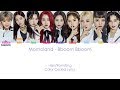 Momoland  bboom bboom  color coded lyrics hanromeng